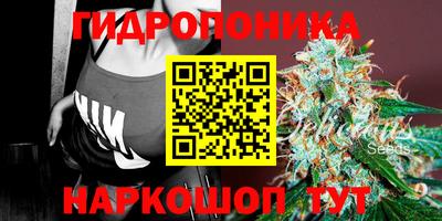 дурь Тверь